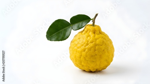 Lemon, lemon kuning, kuning, yellow pear on a branch
