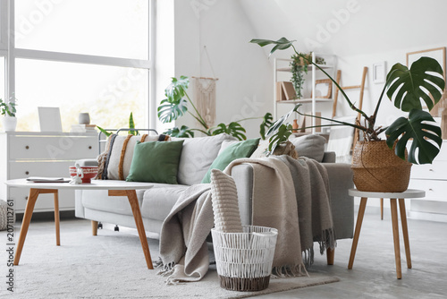 Cozy sofa, houseplant, bask...