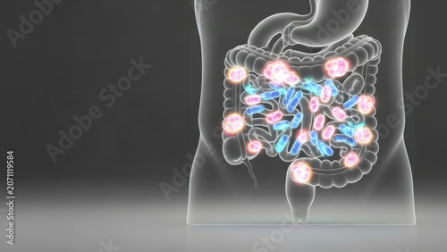 Microbiome health research gut bacteria illustration showing intestinal flora balance and glowing microbes in translucent torso promoting wellness