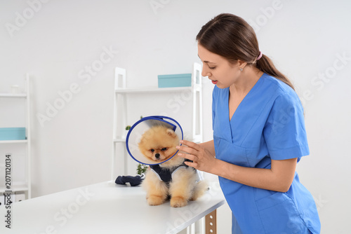 Female veterinarian with Po...