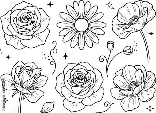 Floral botanical elements set with blooming rose daisy and poppy flower heads vector line art illustration