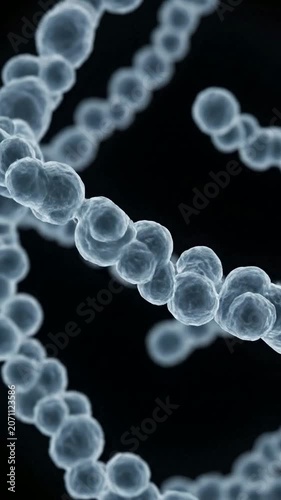 Realistic Close-Up of Streptococcus Bacteria in Detailed Cellular Structure on Black Background for Professional Medical Education and Biotechnology
