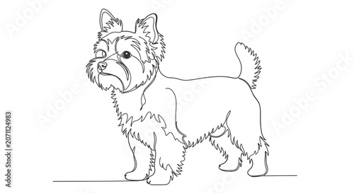 Line Drawing of a Cute West Highland White Terrier Dog Standing and Looking