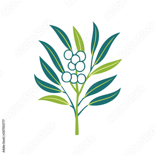 Flat illustration of olive branch with olives