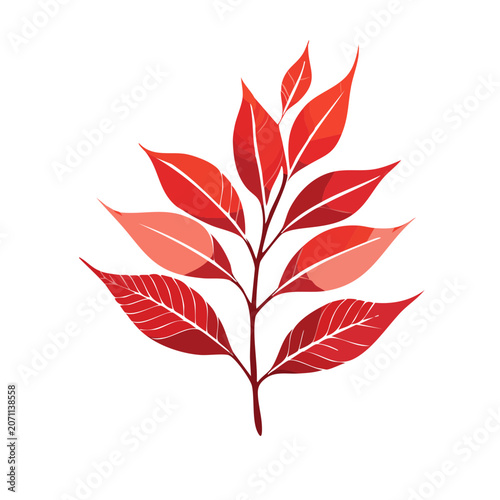 Red maple leaf branch vector illustration
