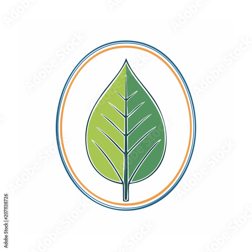 Green leaf with veins in circular frame vector