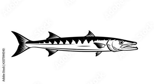 Photography A black and white vector illustration of a barracuda fish in a sleek, side-profile style, perfect for logos, icons, or marine-themed designs
