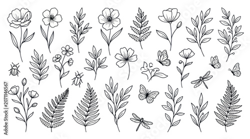 Wildflower botanical sketches and butterfly line art set.