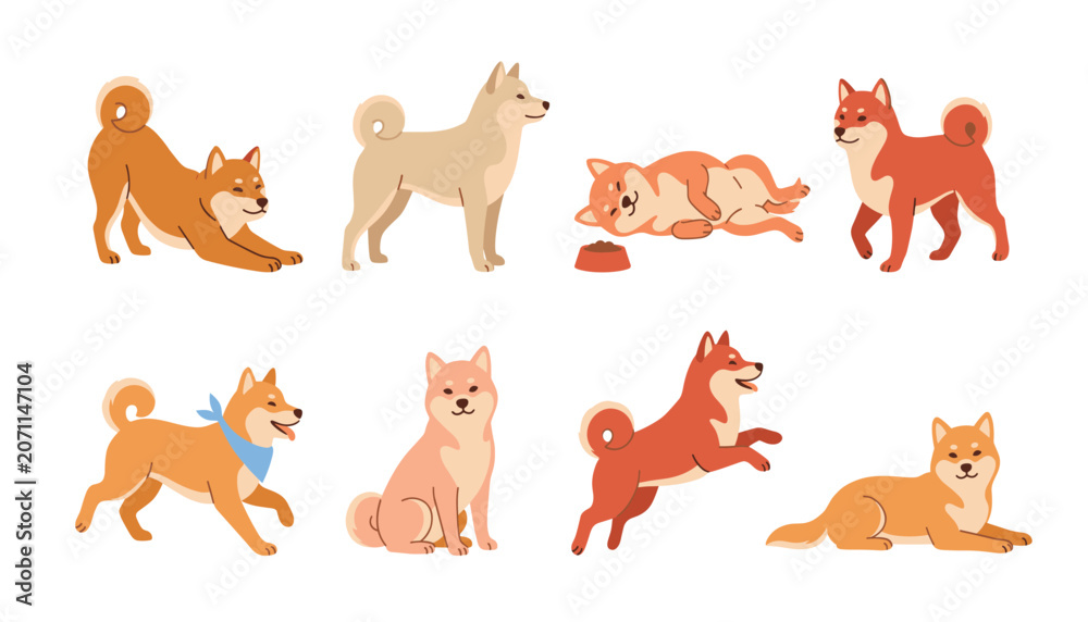 Fototapeta premium Shiba Inu dog vector pack. Cute puppy characters in active poses, sleeping, jumping, running, wearing bandana, isolated transparent background elements.