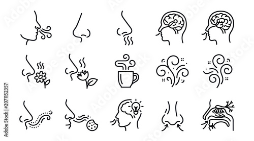 Olfactory sense and aromatherapy scent line icons.