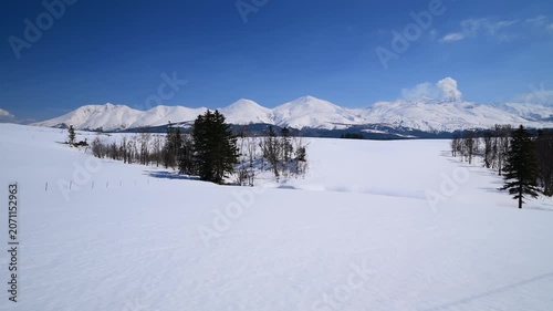 十勝岳連峰と雪原