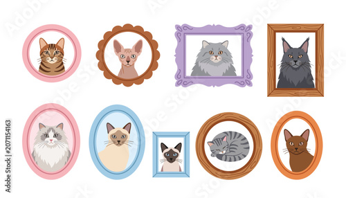 Cat portraits vector isolated. Cute feline characters in vintage picture frames, clear background graphic elements.