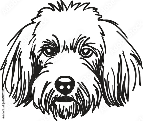Cuadro en lienzo Hand drawn illustration of a cute fluffy dog face, portrait of a shaggy puppy