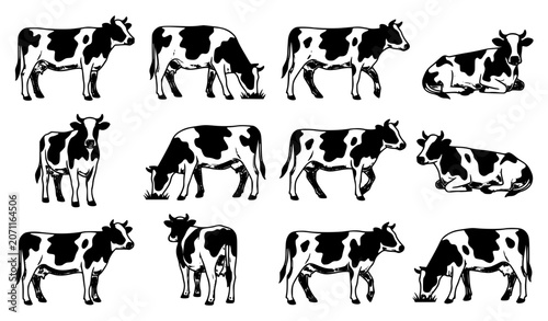 Fotografie Twelve Holstein Friesian Cow Silhouettes Black and White Dairy Cattle Vector Col