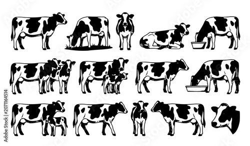 Obraz na płótnie Holstein Friesian Dairy Cow Set Twelve Black and White Farm Animal Vector Illust
