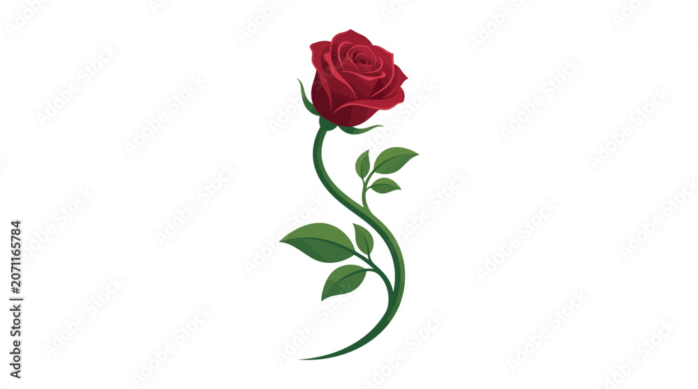 Fototapeta premium Single red rose vector illustration with elegant curved green stem and leaves isolated on white background. Clean modern floral graphic for romantic or botanical design themes.