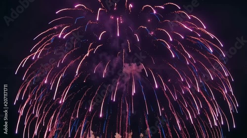 Vibrant pink and blue fireworks explode dramatically in dark night sky during festive Independence Day celebration