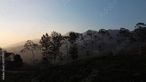 Scenic aerial forward tracking shot revealing misty mountain valleys and vibrant tea gardens during a golden hour sunrise.