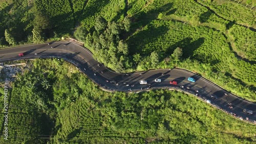 Scenic drone shot of a serpentine mountain highway surrounded by vibrant green tea fields in Puncak, Bogor, Indonesia. 