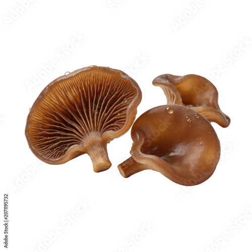 Dreamlook capture of fresh, edible brown mushrooms, highlighting their delicate gills and dewy surface, a vibrant natural ingredient with earthy appeal