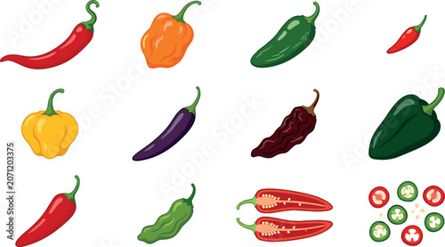 Фотография Chili peppers variety vector illustration set with red jalapeno habanero cayenne