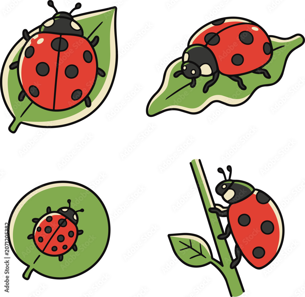 Fototapeta premium A charming set of four cartoon ladybug illustrations on green leaves and a stem.