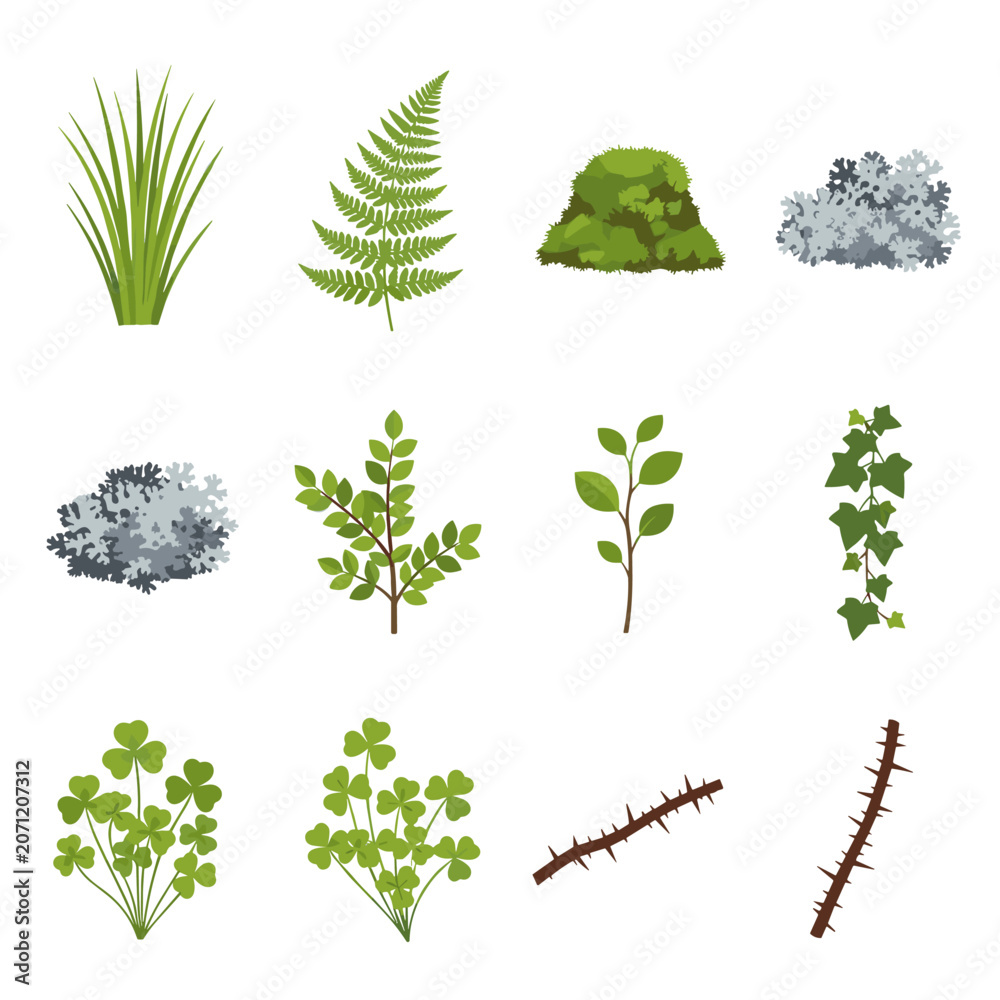 Fototapeta premium Forest and garden botanical plant element set