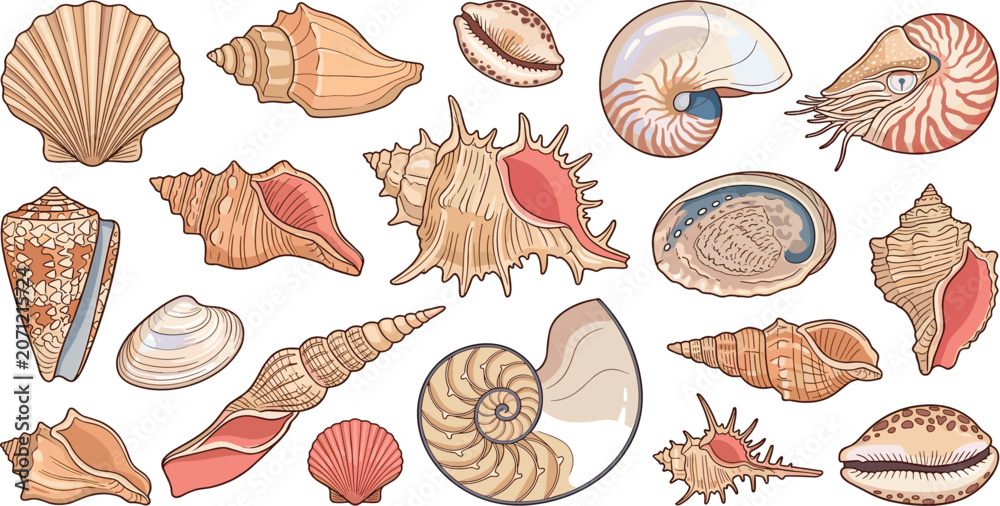 Fototapeta premium Sea Shell and Marine Life Vector Icon Set with Nautilus Scallop Conch and Cowrie Shells for Beach Coastal Decor and Summer Graphic Designs
