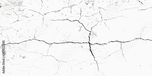 Tableau sur toile Cracked plaster texture with irregular fissures black and white on a white backg