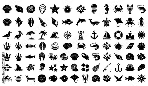 Marine Shells And Beach Mollusk Glyph Icon Pack
