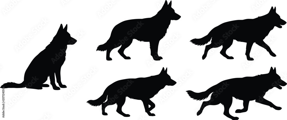 Fototapeta premium German Shepherd dog silhouette collection featuring sitting standing walking and running poses for canine and pet designs