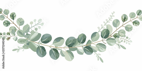 Eucalyptus branch illustration a delicate watercolor style with muted green tones on a white background