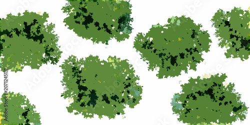 Bild auf Leinwand Watercolor green tree canopies top down view lush foliage against a white backgr