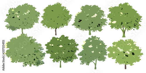 Foto Collection of eight watercolor trees with varying foliage set against a white ba