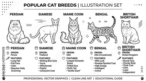 Popular Cat Breeds Illustration.
