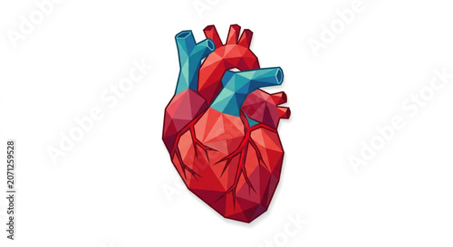 Low Poly Human Heart Vector Illustration Isolated on White Background
