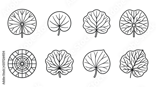 Lotus Flower Line Drawings.