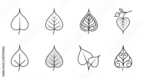 Leaves Line Drawings Botanical Art.