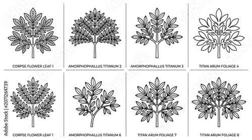Various Tree Leaf Illustrations.