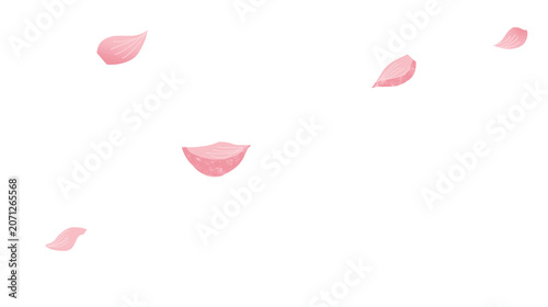 Illustration of falling cherry blossom petals.