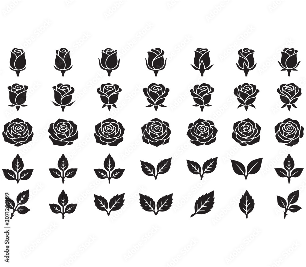 Fototapeta premium Elegant Rose Blossom Collection