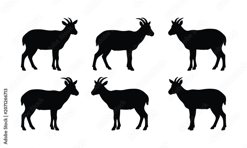 Obraz premium Six black silhouettes of mountain goats standing against a white background.
