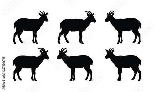 Six black silhouettes of mountain goats standing against a white background.