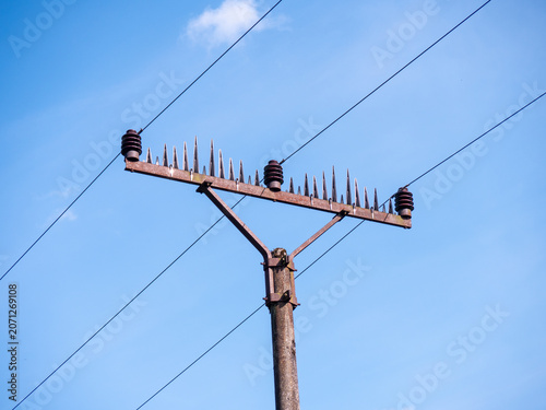 Photos Power pole with bird deterrent spikes, insulators and overhead electrical wires against blue sky