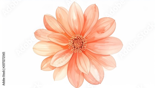 Watercolor Painting of a Delicate Peach Dahlia Flower.