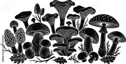 Konstfotografi Assorted Fungi Silhouettes in a Natural Arrangement with Foliage Vector