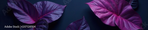 Intricate dark purple spathiphyllum leaf veins Abstract tropical backdrop , hue, contrast, detail