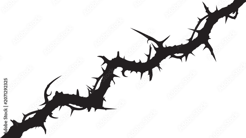 Fototapeta premium Black silhouette of a thorny branch