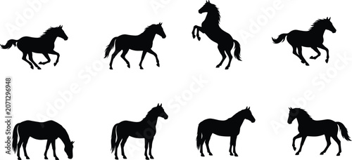 Bild auf Leinwand Horse Silhouette Vector Collection Featuring Running Rearing Grazing Standing an