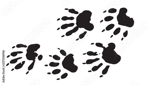 Photography Wild animal paw prints clipart set vector illustration, hand drawn black ink linocut style bear, wolf, and big cat claw tracks isolated on white background